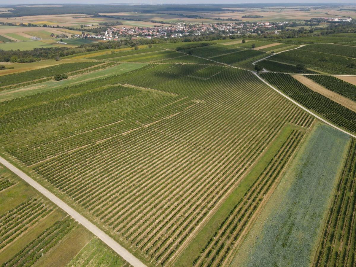 Pension Schloegl Lutzmannsburg Exteriér fotografie